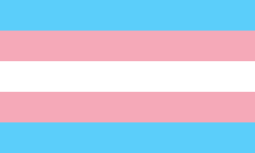 Transgender flag - Wikipedia